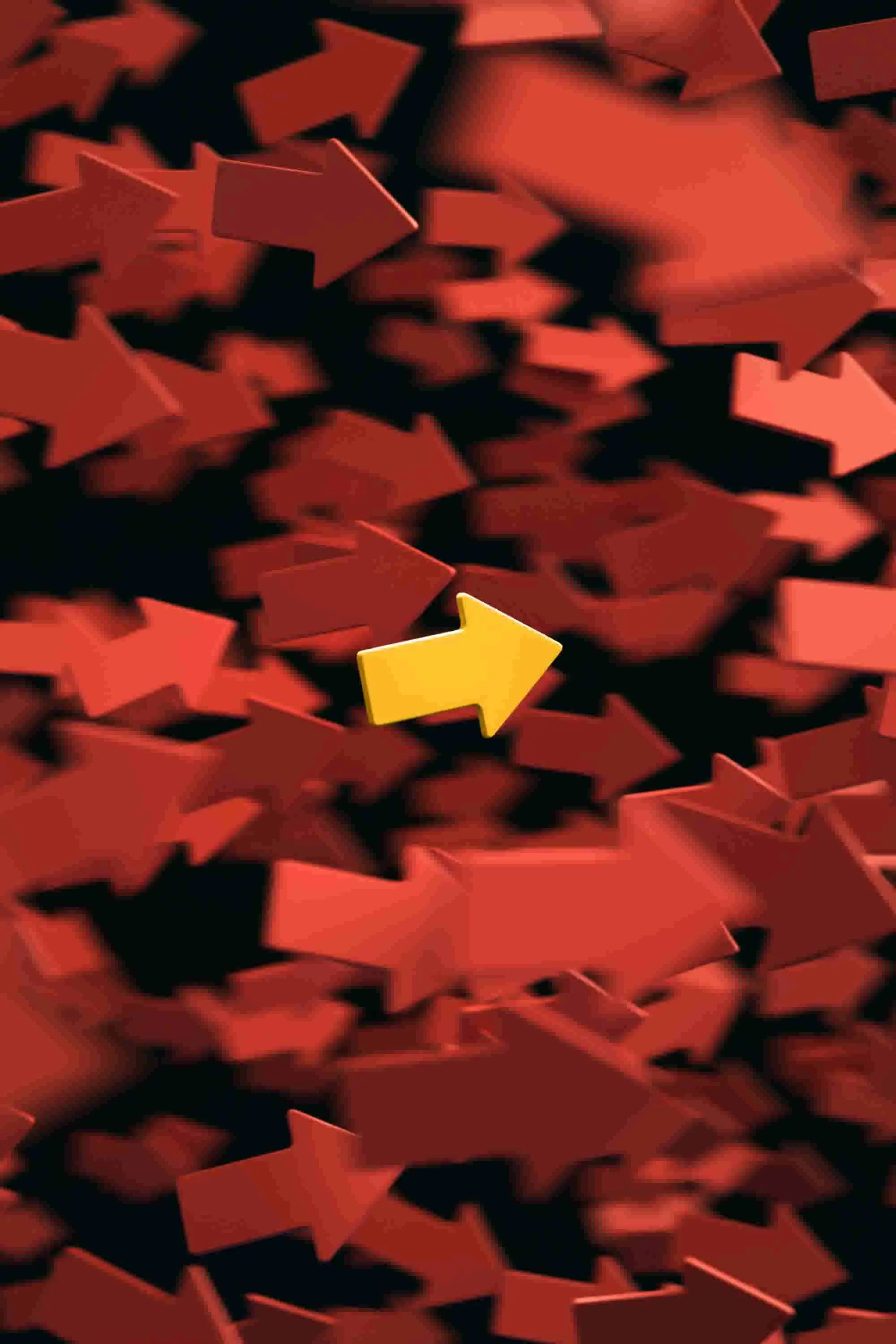 Procurement: Trends and Predictions feature image