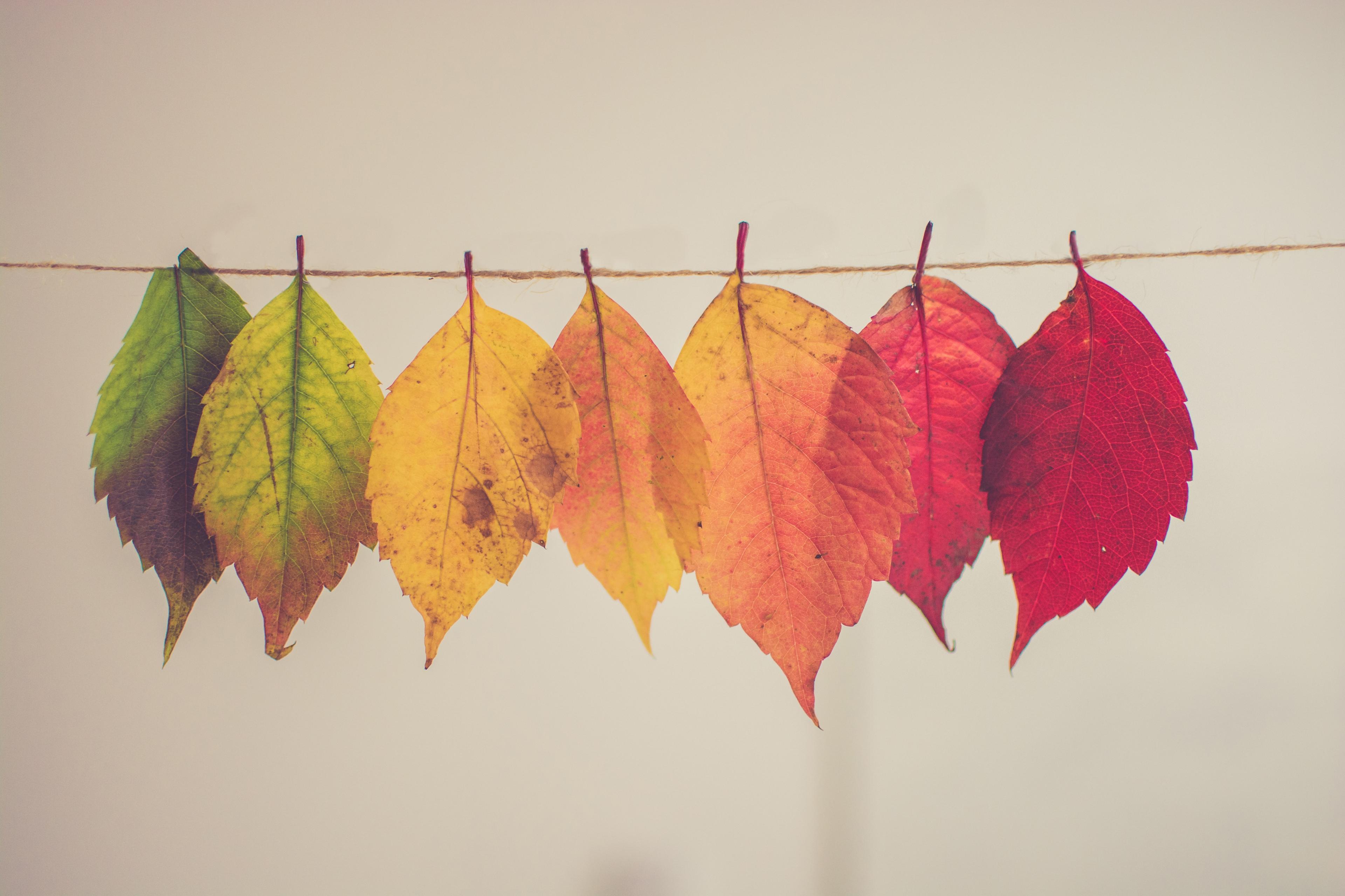 How to Manage Currency Fluctuations and Minimize Risk in Purchase Orders