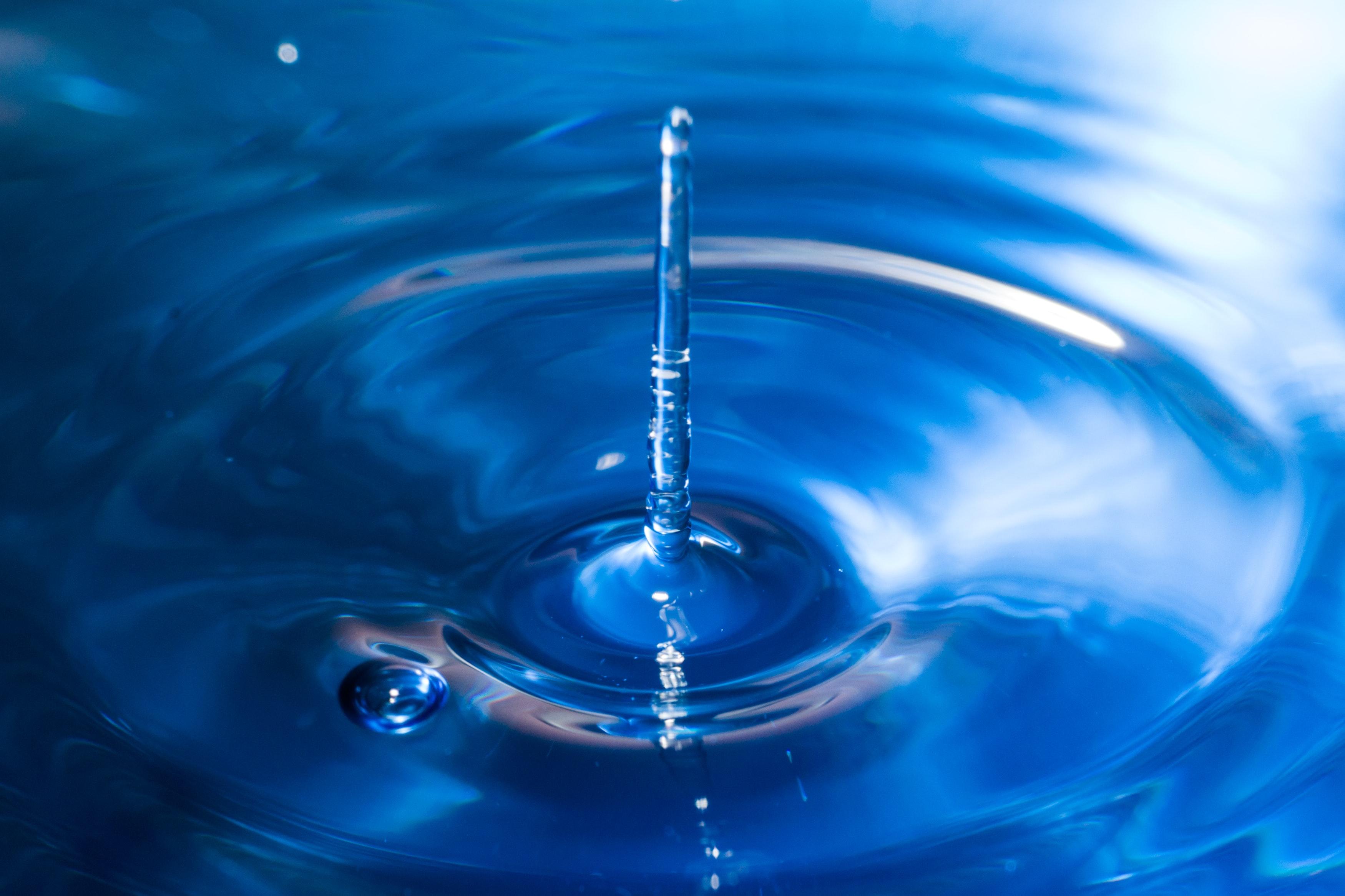 Cloud Computing: Future-Proofing Procurement